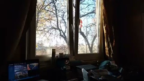 Powjem wam to czeka mi spanialq ziecz w ziciu nie byci samotny jusz S01E872