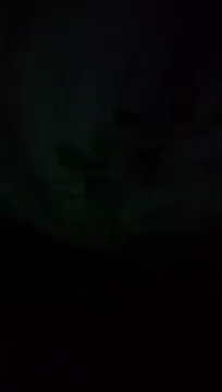 Pokazuje wam prawdę a nie wlsz S01E802