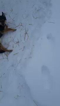 Nero w dobrych rękach ;) S01E425