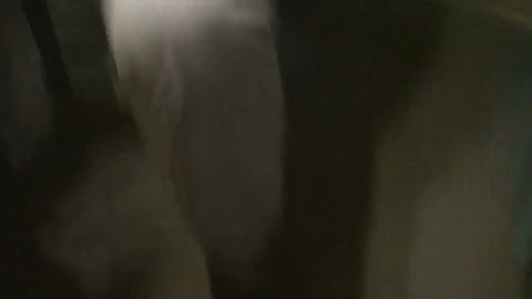 Arbuz i porady zdrowotne S01E293