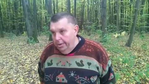 O strusiu, drzewie i kamieniu S01E31