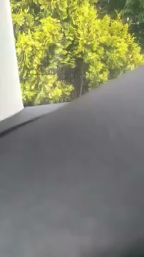 Mission failed S01E276