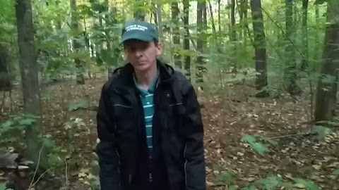 Jestem na grzybach S01E28