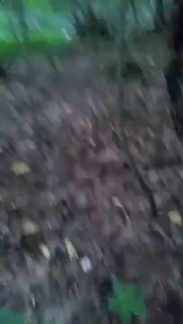 Wiewiórki przemówiły S01E271