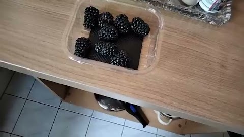 Psznq ziecz będę jat S01E186