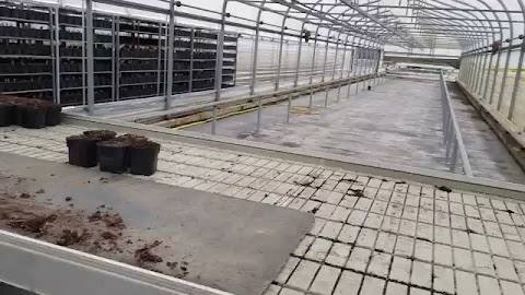 Podejrzany prysznic S01E449