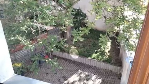 Pogoda poprawiła się unas S01E1477