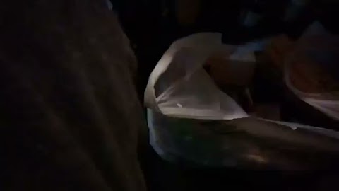 Powjwm wam to S01E734