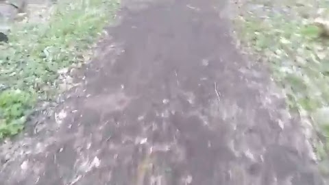 Poranny spacer S01E258