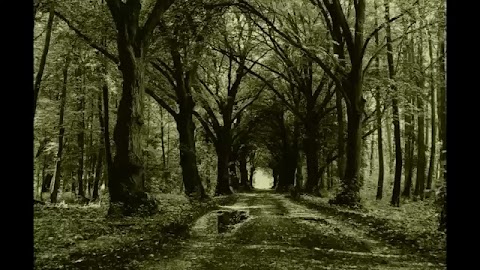 Krzysiu nie rezygnuj i nagrywaj 👍 S01E234