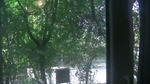 Wsuchajcje tego S01E703