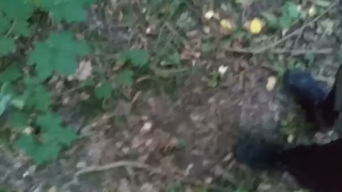 Poranne odwiedziny S01E255