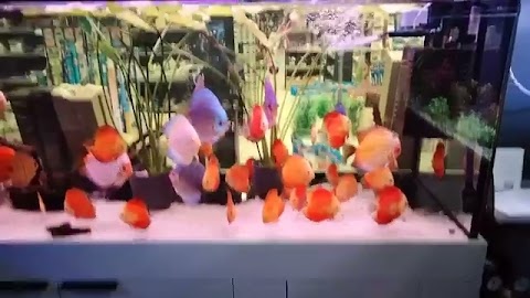 zapraszam do zoologicznego w cetrum nasze S01E990