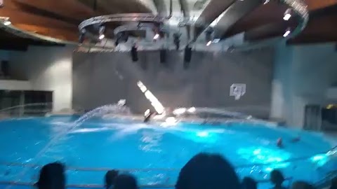 Mała przerwa od szkolnej S01E244