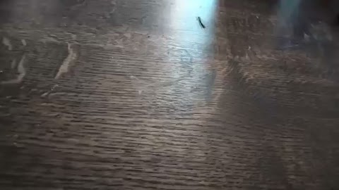 Witajcie powjem wam krudko wsuchaj S01E1658