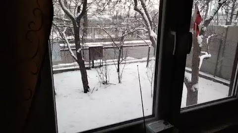 Pogoda jest taka kababa jem teras S01E945