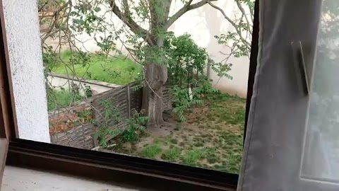 Siwjat jest piekny S01E1608