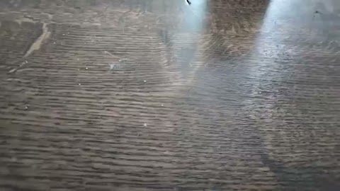 Powjem wam takq ziecz S01E162