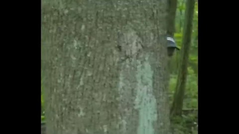 NITROFILM - podróż Majora