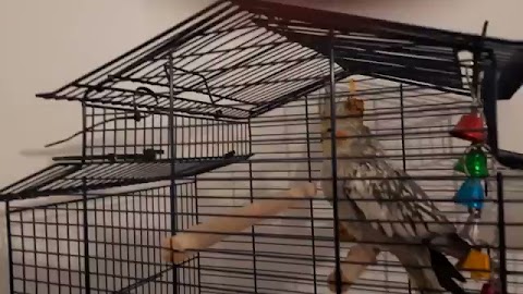 Trzeba zmienić nachy S01E399