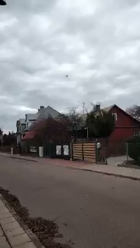 pokarze wam to S01E905