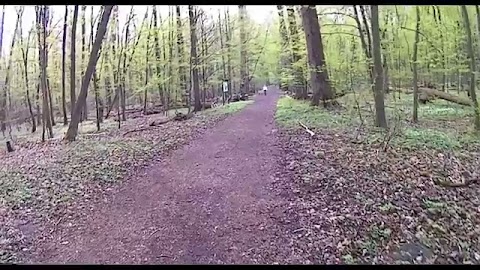 Potwierdzenie odbioru S01E257