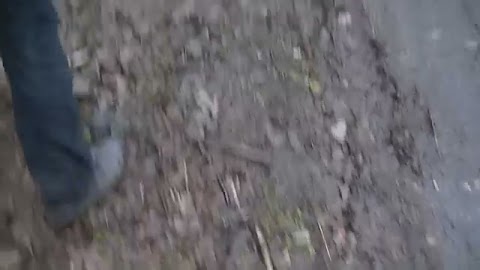 No 46 sztuk... S01E163