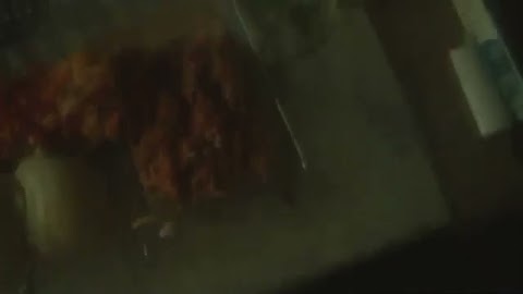 Pokazuję Wam ! S01E1465