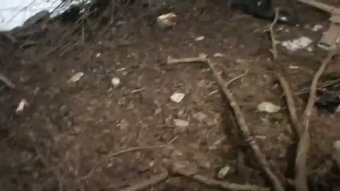 WJAZD Z DOMU S01E1379