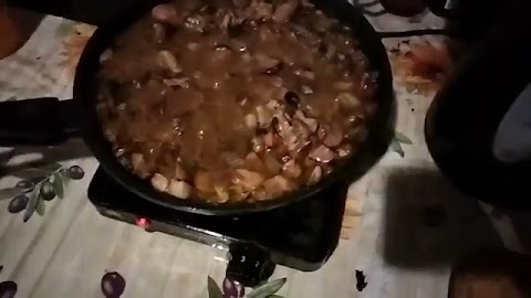 Testuję grzyby ruszone co razem zrobjlisimy na objat S01E292