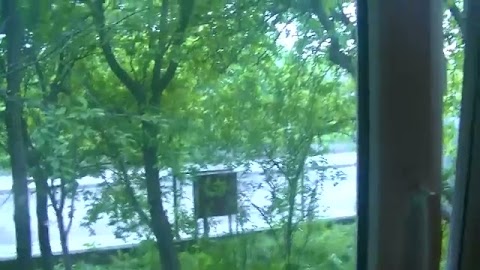 żmniaczki gotowe sq S01E500