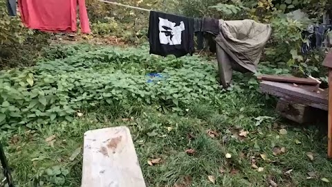 Chcemy wprowadzić się stot S01E783