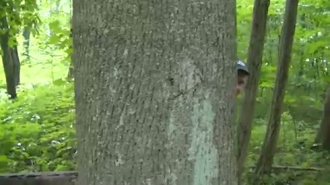 Leśne rozmowy S01E213