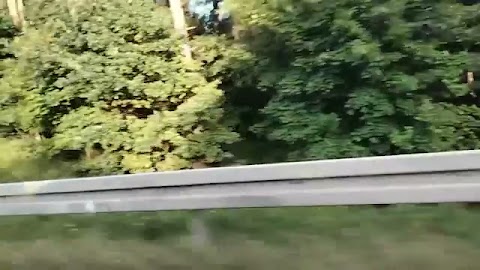 Pokazuje wam ro S01E259