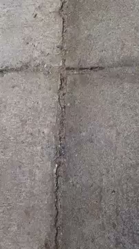 Pole do popisu dla opiekuna S01E360