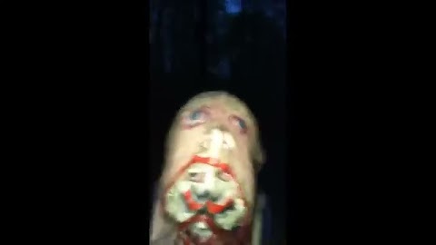 Potwór w lesie S01E260