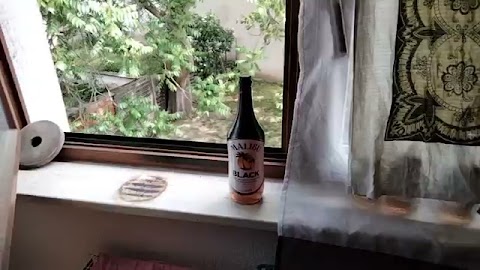 Pokarze wam pogodę prawje letna S01E578