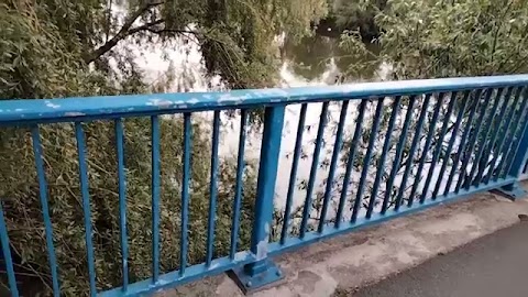 Oglodajcie to S01E469