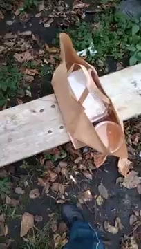 Przeżyłem do domu wrzuca nadwomur mnje S01E893