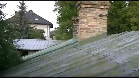 Struś leśny - Wilm przyrodniczy