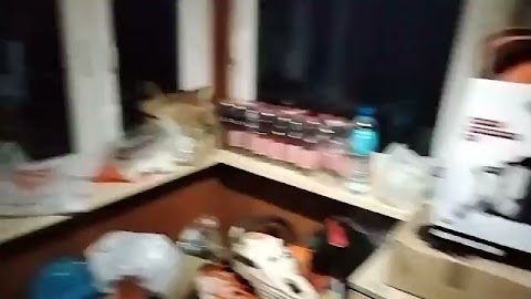 wszedłem zięby nagrwaci wilm dlawas S01E1289