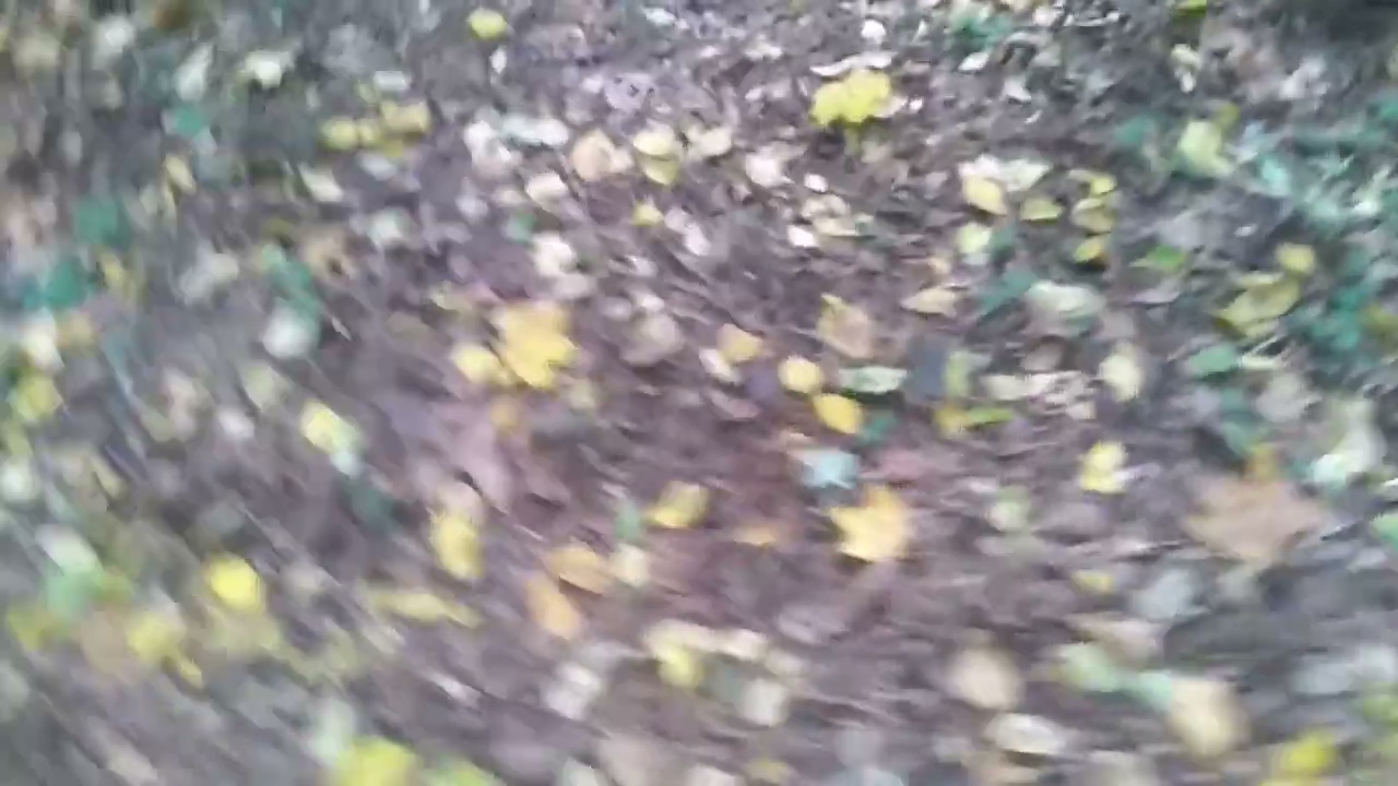 Akcja wydobycia strusia. S01E221