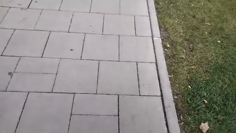 Wszedłem z domu  spodkalem sosjada S01E928