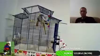 Gadamy-qD2w4TSyRHU S01E345