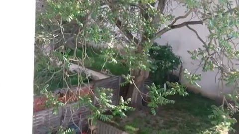 Przwjtam Niedzielę sloleccnq dziai S01E1247