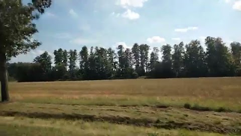 Powrut do Bjalegostoku S01E230