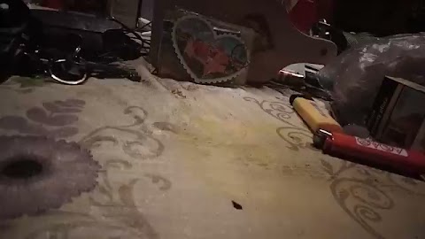 Dzedobry wsuchajcja tego S01E728