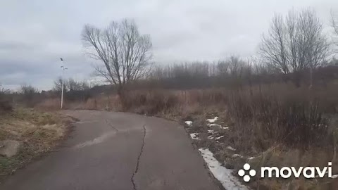 Ekologiczne urojenia, kłamstwa, zaburzenia ,,zielonej ku...' mieszkającej z rodzicami S01E616