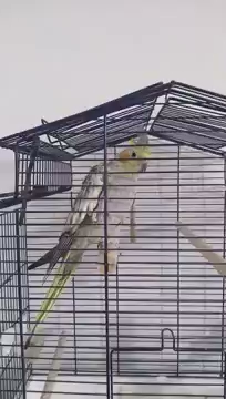 Info 10 lipca 2020 S01E290