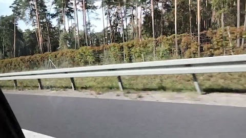 Dzedobry zbliżamy się do Olsztyna S01E256